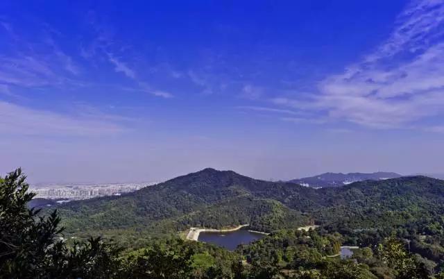 有人说广州好不好玩怎么回答,广州没文化的城市