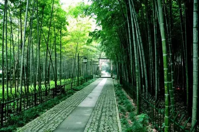 杭州拍婚纱照2万,拍婚纱照去杭州怎么样