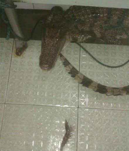 请看看真正的*生妹学**是什么样的吧