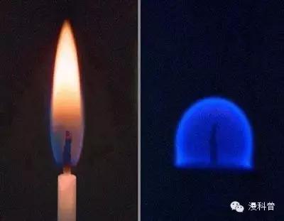 科学美图6：水螅的嘴是撕出来的、零重力下蜡烛火焰是蓝色的圆形