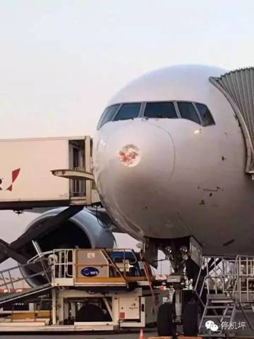 飞机：你赔我鼻子！鸟：妈的智障