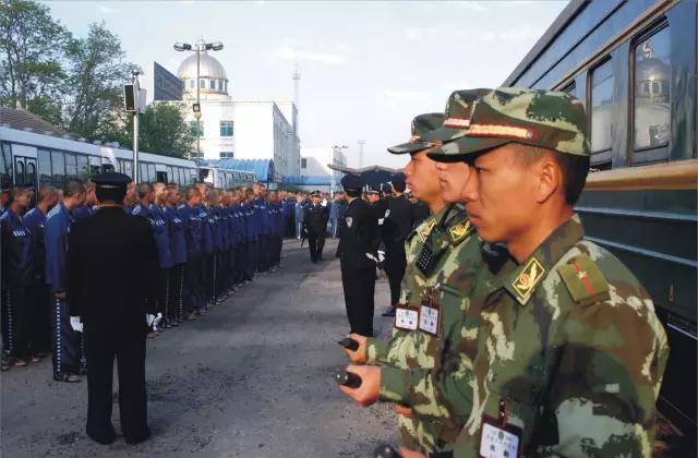 中国警用装备展直播,中国武警形象展播河南