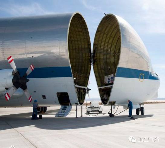 变异变形飞机,变异飞机鹦鹉