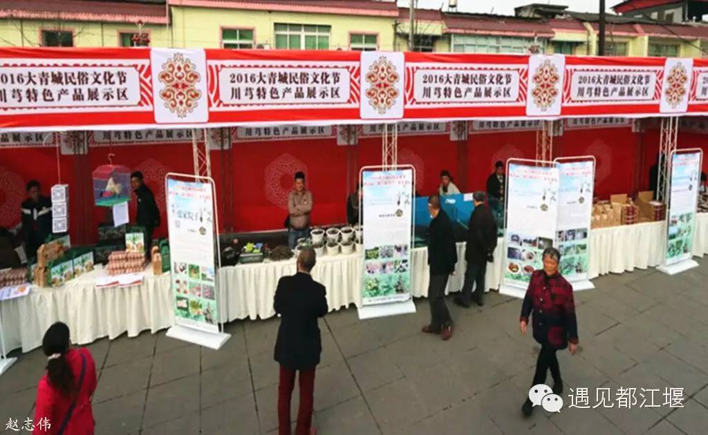 走去新丰骑车赏红枫泡温泉品美食,走温江田园去观赏美好生活