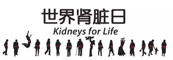 世界肾脏日义诊宣教守护肾健康,世界肾脏病日血液透析
