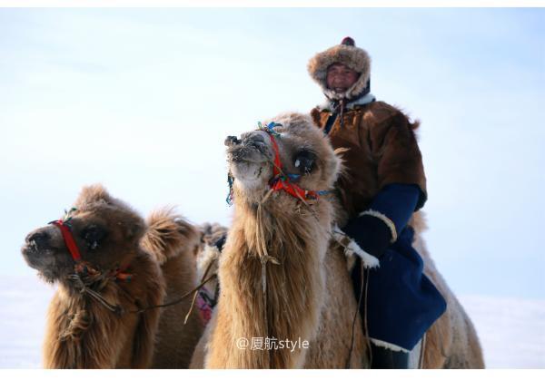 牧马少年歌曲完整版,牧马少年草原