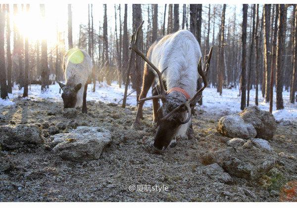 牧马少年歌曲完整版,牧马少年草原