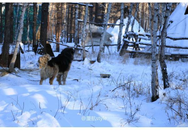 牧马少年歌曲完整版,牧马少年草原