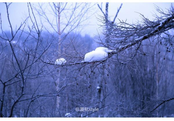 牧马少年歌曲完整版,牧马少年草原