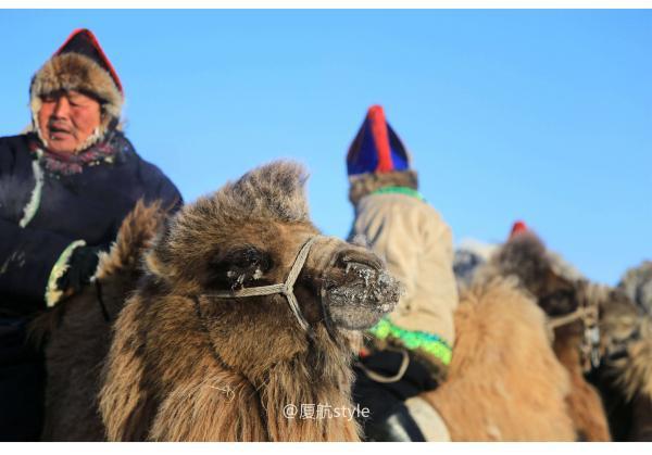 牧马少年歌曲完整版,牧马少年草原