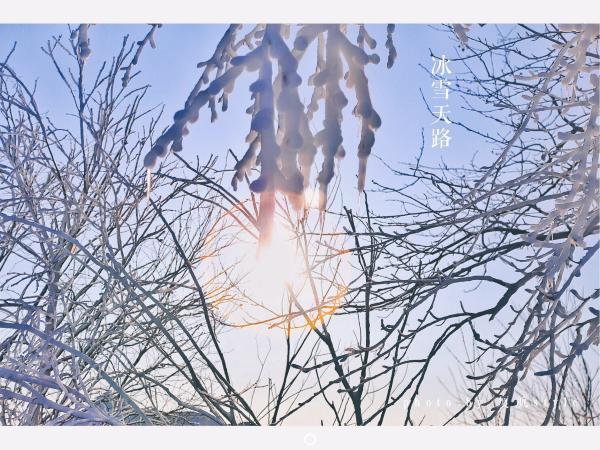 牧马少年歌曲完整版,牧马少年草原