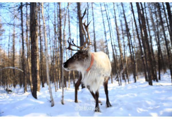牧马少年歌曲完整版,牧马少年草原