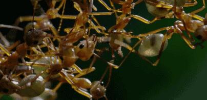 豆瓣9.7的冷门好片，送给每个热爱生命的人