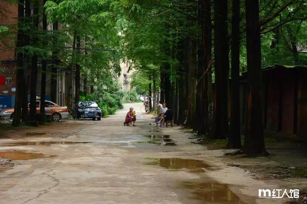 在株洲市生活会有什么体验,在湖南株洲的日常