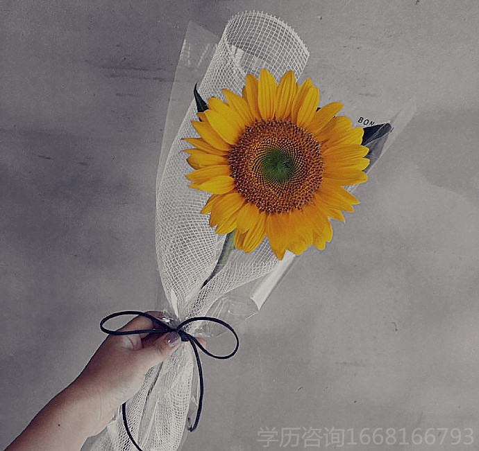 教你了解职场,行政管理要点与难点