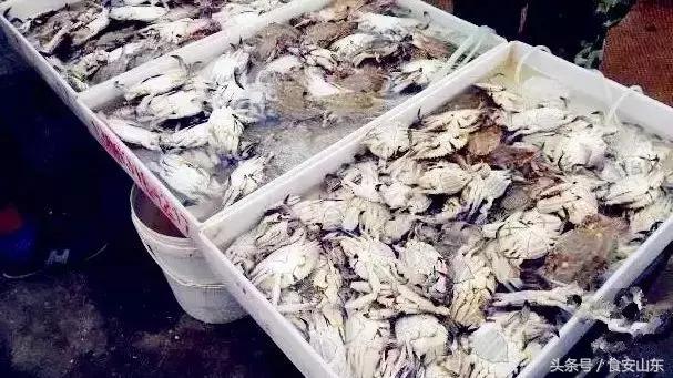 9月1号开海海鲜能便宜吗,9.1开海海鲜掉价吗