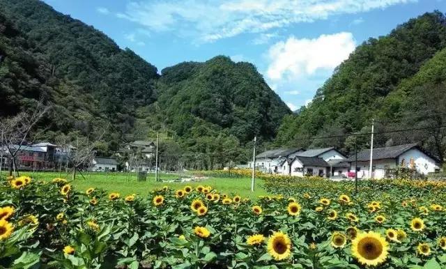 西安哪些景区要免费了,西安哪些景区是免费