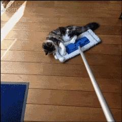 满屋子的头发怎么清理,头发太多打扫小妙招