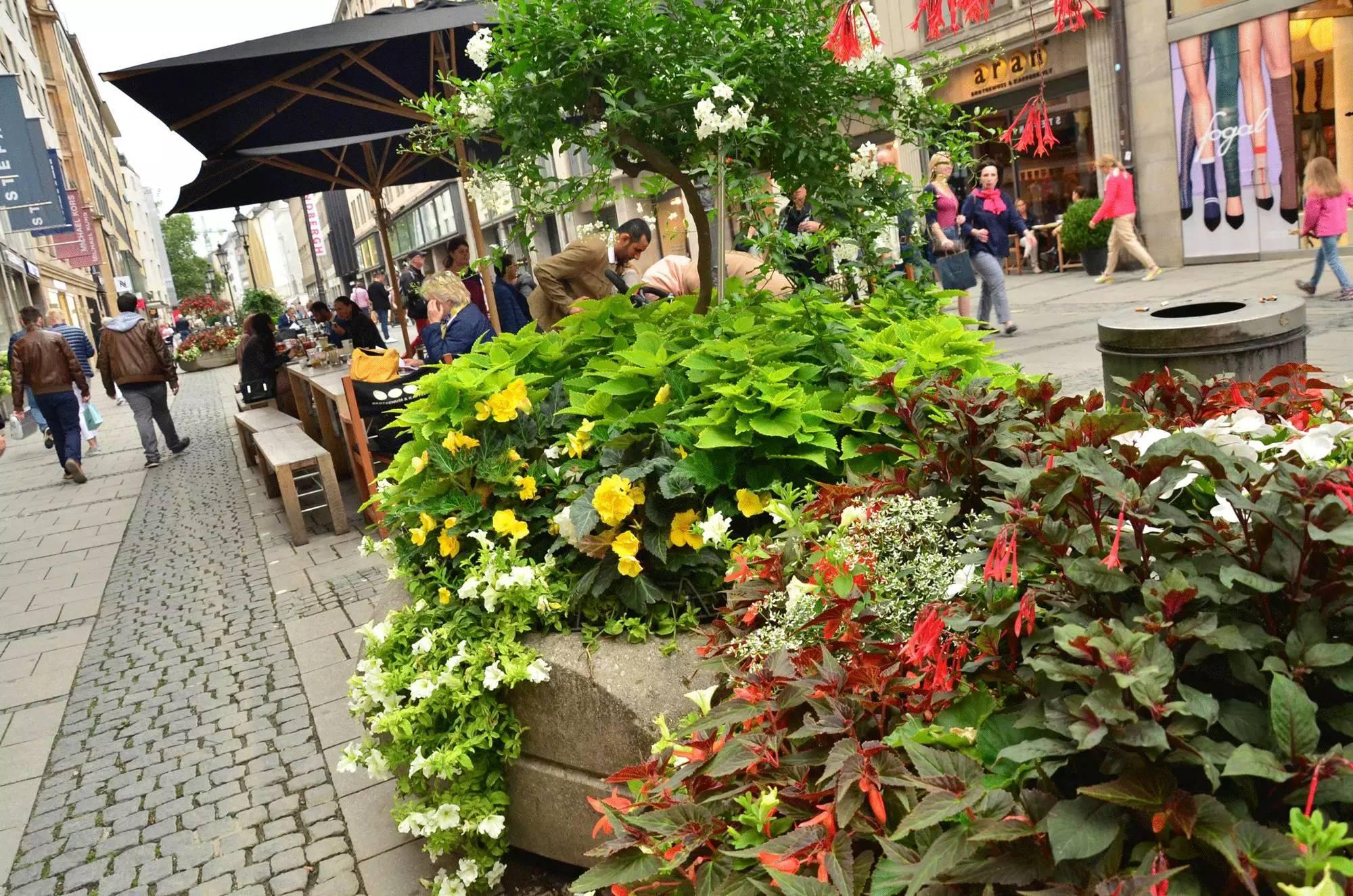 德国的不限速高速公路多少钱,高速公路不收费到哪天