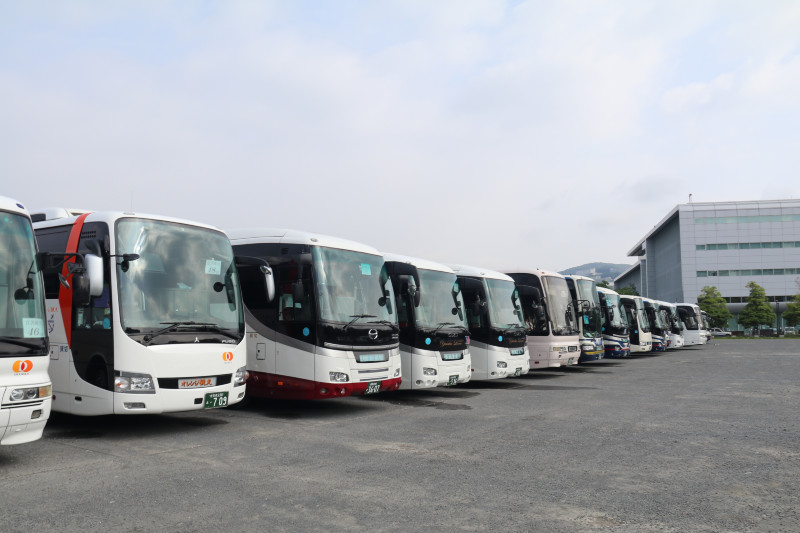 天海邮轮海上豪华之旅,天海豪华邮轮