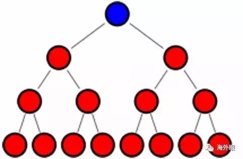 庞氏集团的前世今生,庞氏前世今生