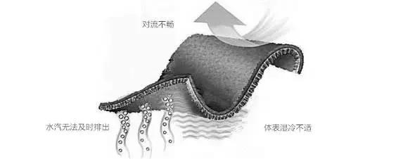 CG运动品牌,cg运动套装