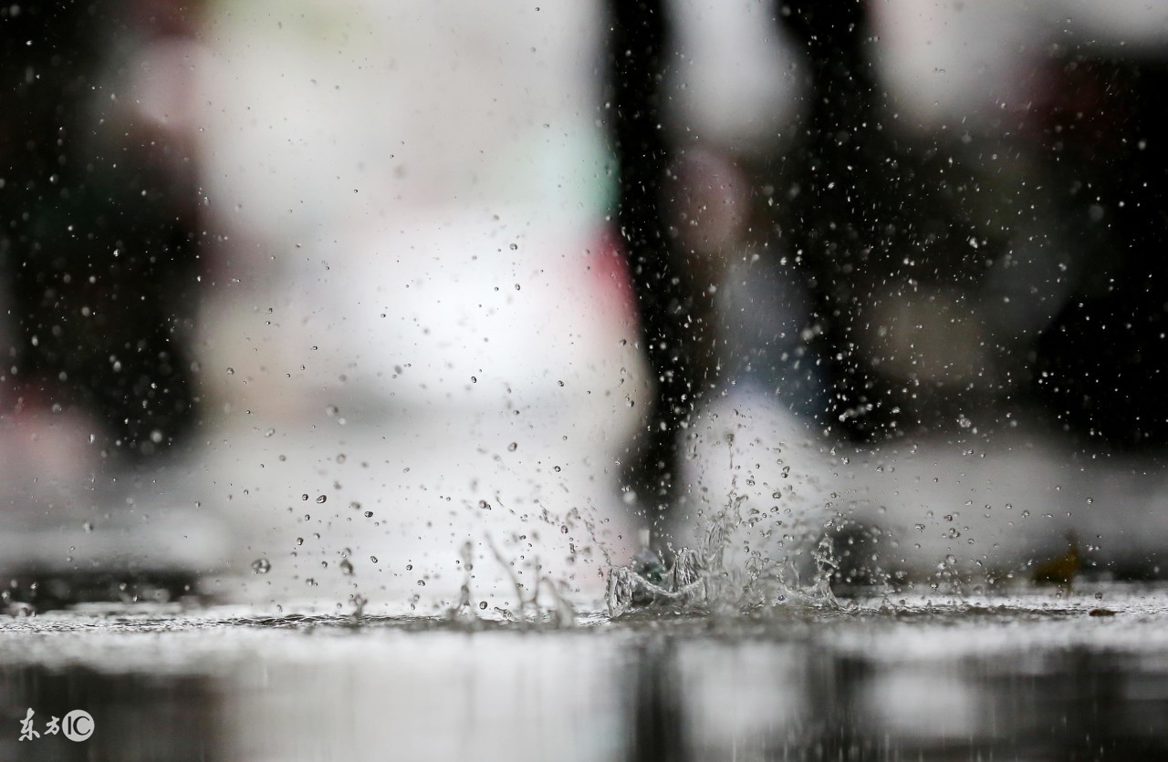 天鸽台风在什么地方登陆,天鸽台风在哪里登陆