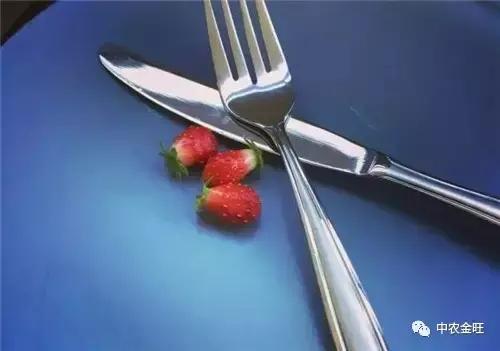 迷你农业怎么做,网红迷你农业怎么玩