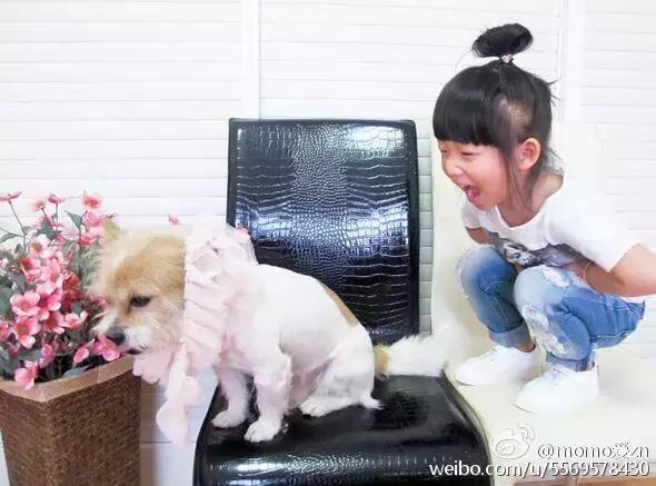 开学运动鞋小白鞋推荐,开学小白鞋推荐