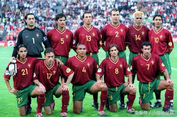 德国世界杯欧洲杯各届阵容名单,2000年欧洲杯荷兰队阵容