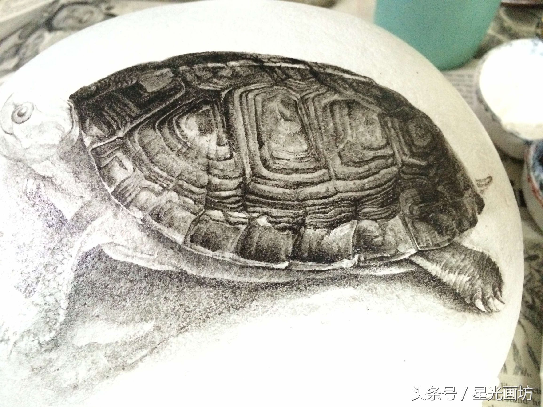 石头上画乌龟教程,龟石头画教程