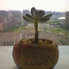 360儿童手表6c如何装卡,36010x儿童电话手表和小米6c区别