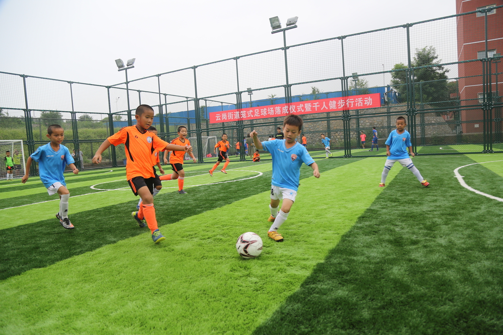 新建11人制标准足球场,丰台体育中心笼式足球场