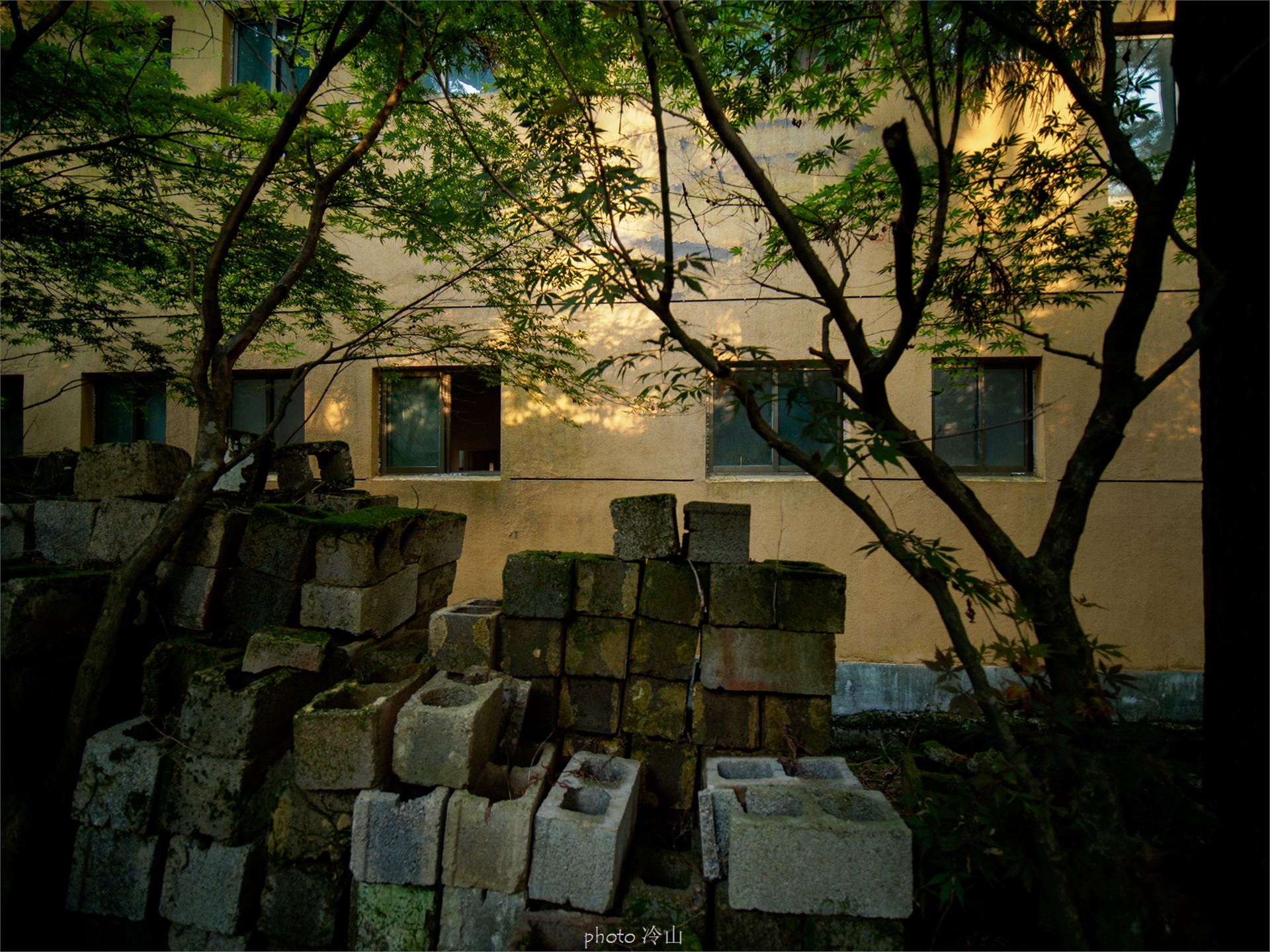 华顶千年杜鹃林,天台山石梁瀑布华顶杜鹃