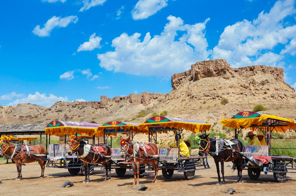 宁夏沙坡头水洞沟,宁夏水洞沟游