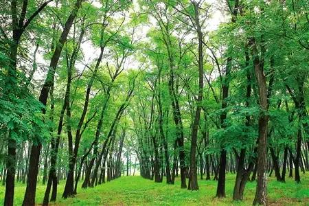 说走就走吧自驾环游,说走就走游遍全国