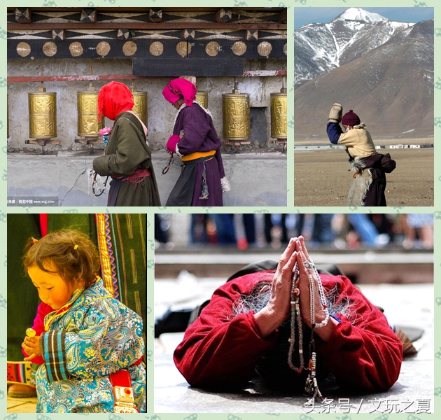 凤眼菩提怎么选最好,老司机揭秘文玩