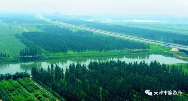 说走就走走遍全中国旅游,说走就走的旅行完整版