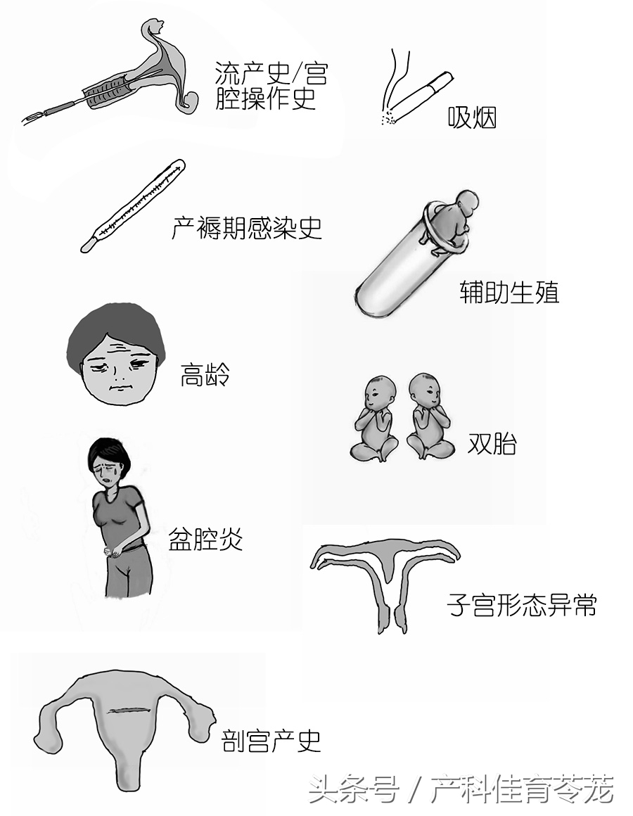 胎盘低就是前置胎盘吗,胎盘位置低在前壁