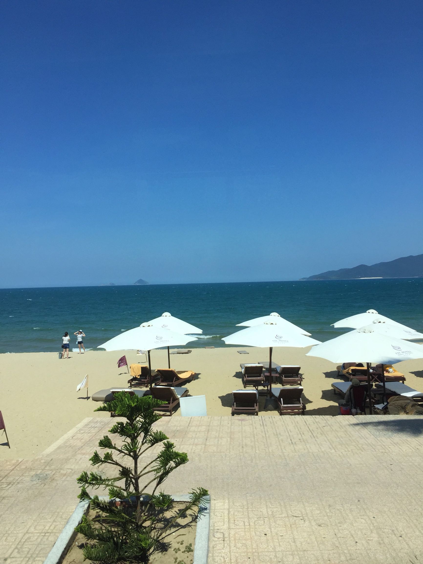 越南芽庄旅游攻略天气,越南芽庄旅游攻略学生