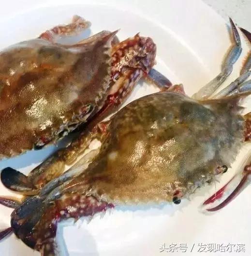 哈尔滨火锅自助餐50到100,哈尔滨香格里拉早上自助餐价格