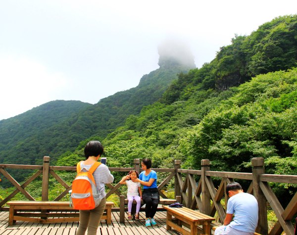 天天有人去山上采蘑菇,每天来观看的游客上万人