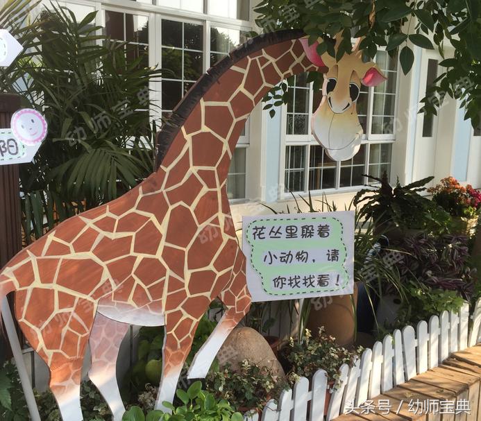 自然角创设分布图,自然角布置幼儿园