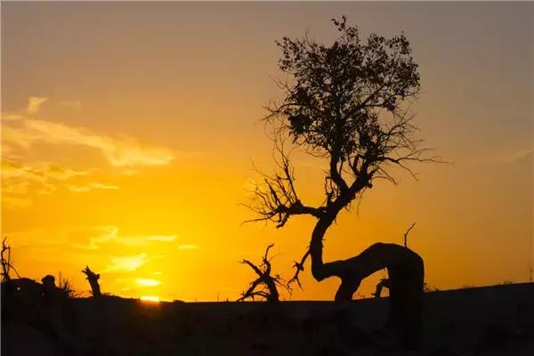三千年的情缘,三千年的企盼只为这一季的金秋(附攻略)