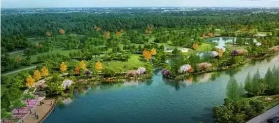 安徽阜南城北新区规划到什么地方,阜南中心城规划