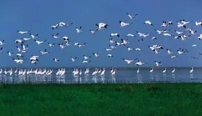 九江不得不去的地方,在九江好玩的地方不用钱