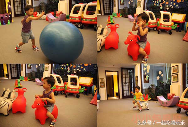 带宝宝长隆野生动物园旅游攻略,广州长隆野生动物园旅游攻略