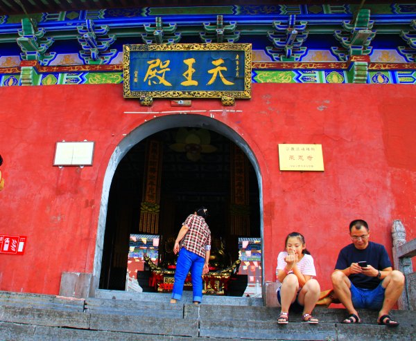 天天有人去山上采蘑菇,每天来观看的游客上万人