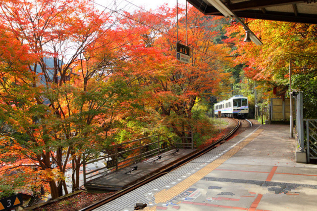八月份定下的目标,秋季关西旅游攻略