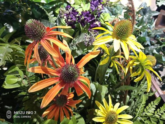 大家习以为常的手机拍照加水印，原来是从它开始的